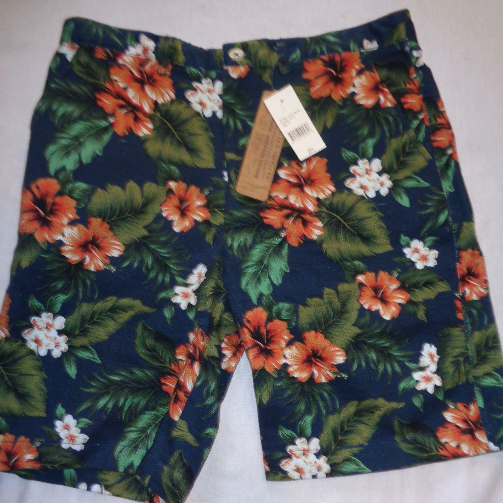 Jachs Ny Size 33 Bowie Shorts Navy, Floral